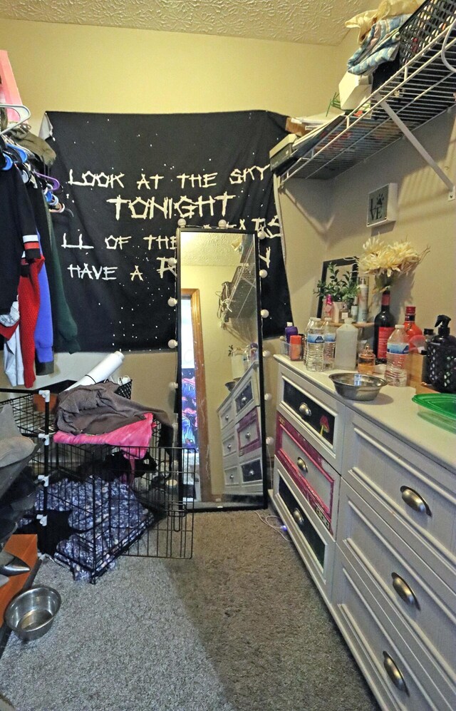 spacious closet featuring carpet floors