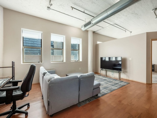 living room featuring wood finished floors and rail lighting