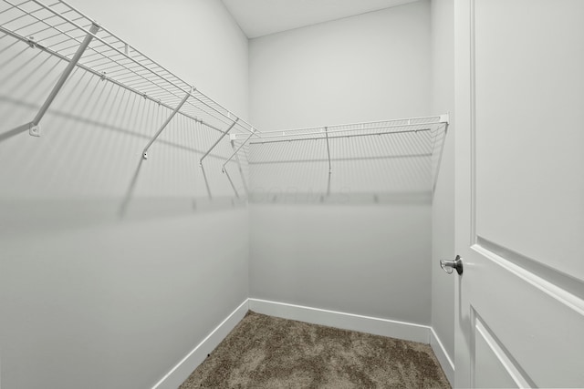 walk in closet featuring dark colored carpet