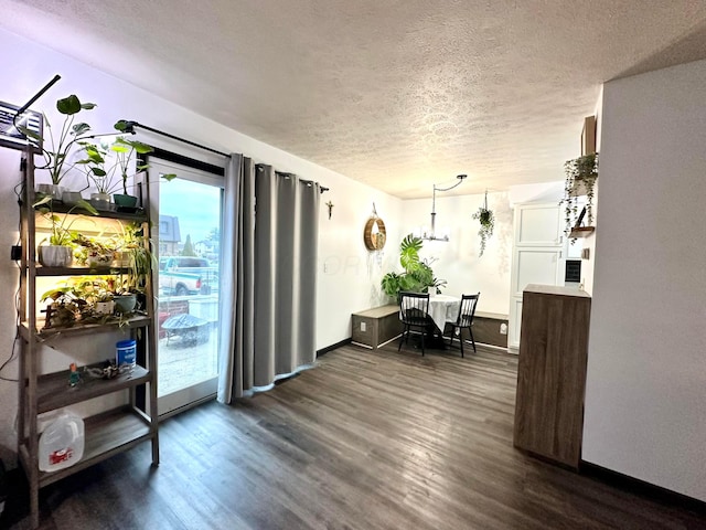 interior space featuring dark wood-style floors, baseboards, and a textured ceiling