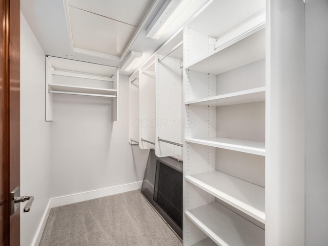 walk in closet with carpet floors