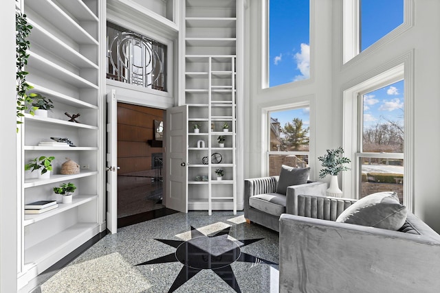 interior space featuring built in shelves and a high ceiling