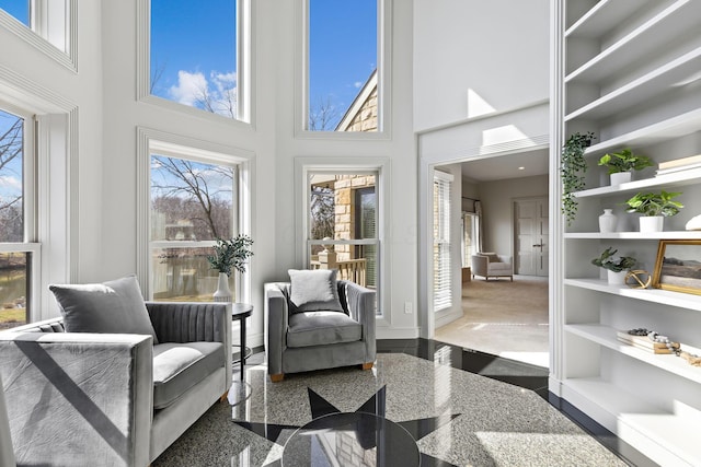 living area featuring baseboards, a high ceiling, and granite finish floor