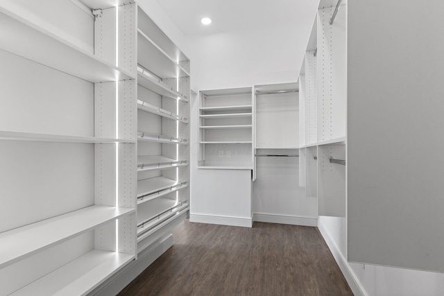 walk in closet with dark wood-style flooring