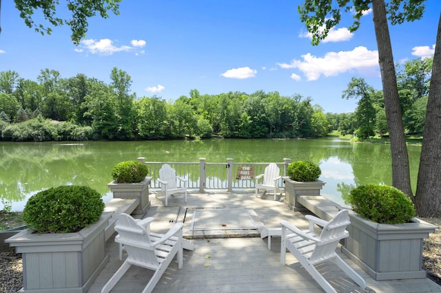 dock area with a water view