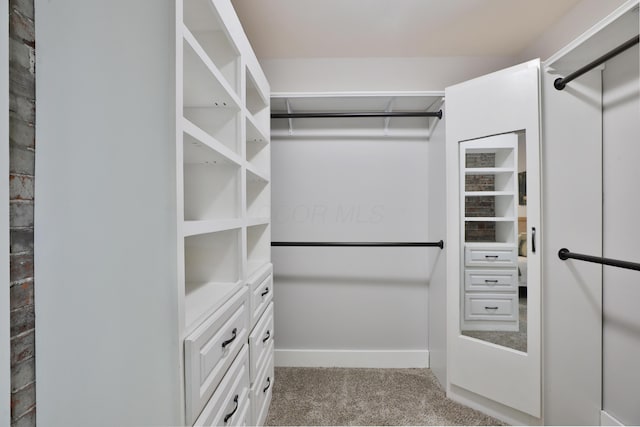 walk in closet featuring carpet flooring