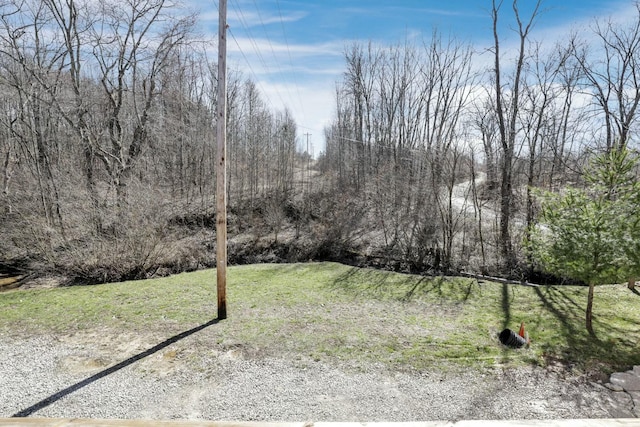 2896 Adelphia State Rd, Wellston, OH 45692 - photo 52