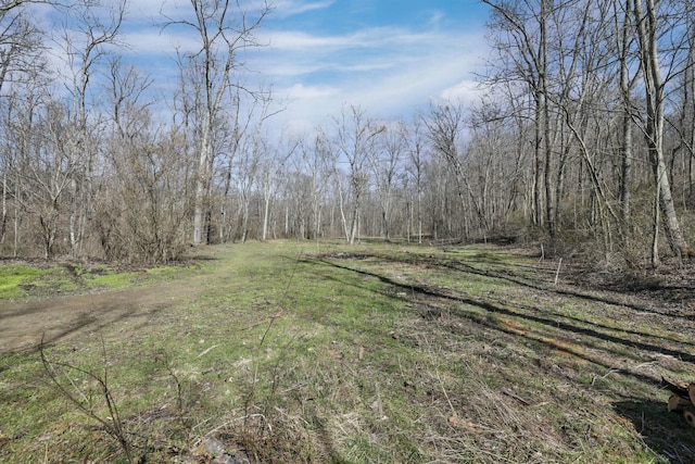 2896 Adelphia State Rd, Wellston, OH 45692 - photo 68