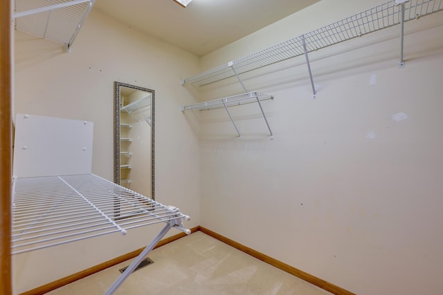 spacious closet featuring carpet flooring