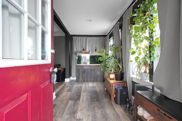 entrance foyer featuring wood finished floors