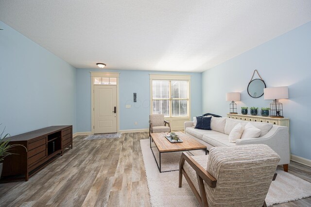 living room featuring baseboards, a textured ceiling, and light wood finished floors