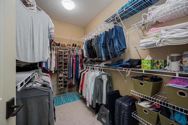 walk in closet featuring carpet floors