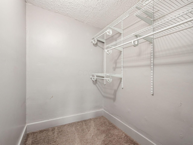 spacious closet featuring carpet flooring