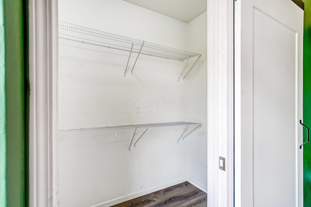 spacious closet with dark wood-style floors