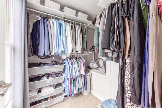 spacious closet with carpet flooring