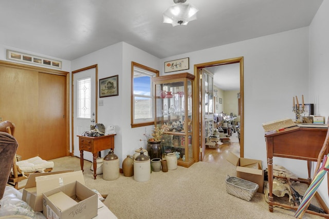 miscellaneous room with carpet flooring