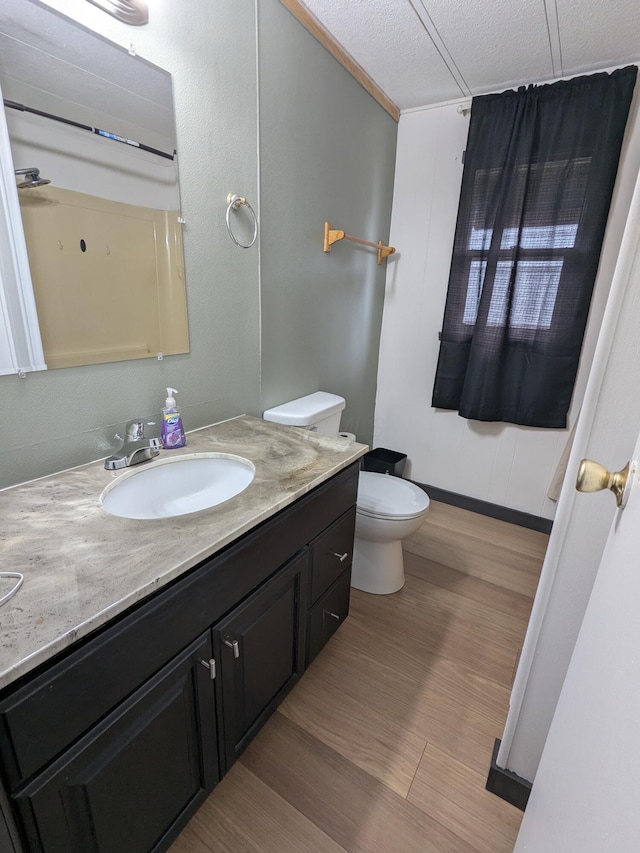 bathroom featuring toilet, wood finished floors, and vanity