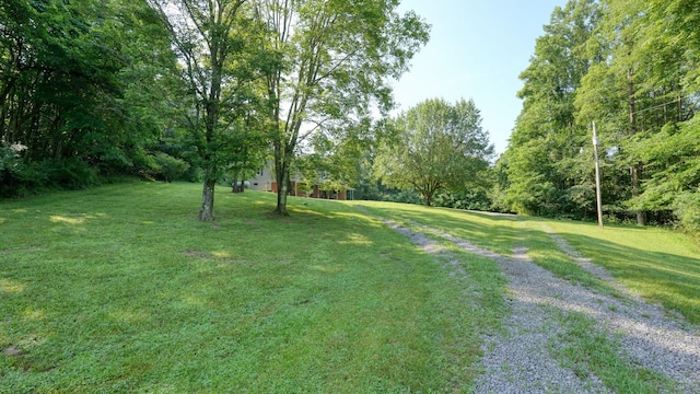 225 Homestead Dr, New Concord, OH 43762 - view of green lawn with driveway