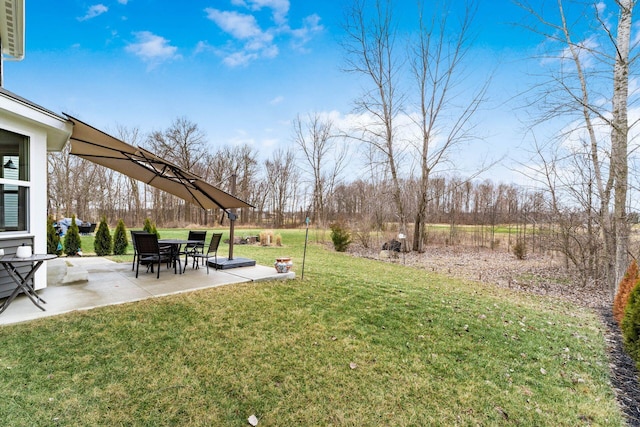 view of yard featuring a patio area