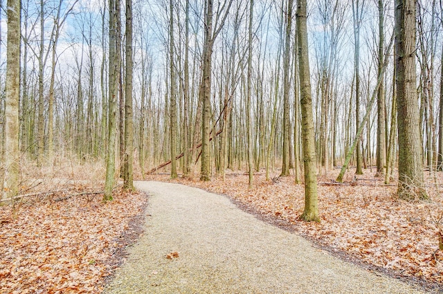 view of road featuring a wooded view