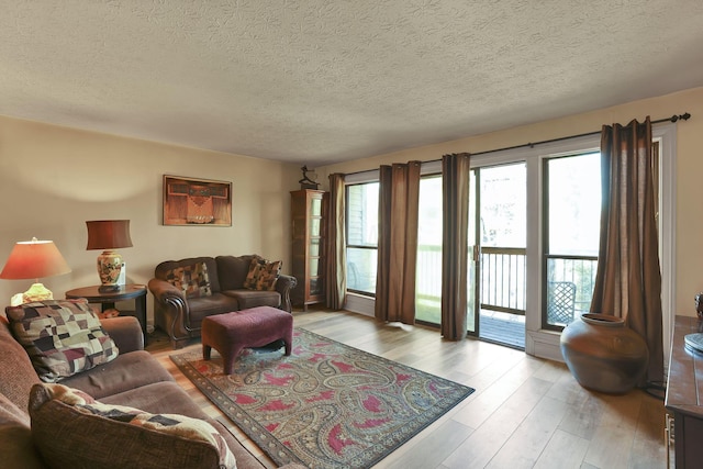 living area featuring light wood finished floors and a textured ceiling