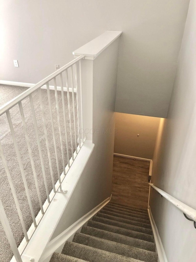 stairway with carpet flooring