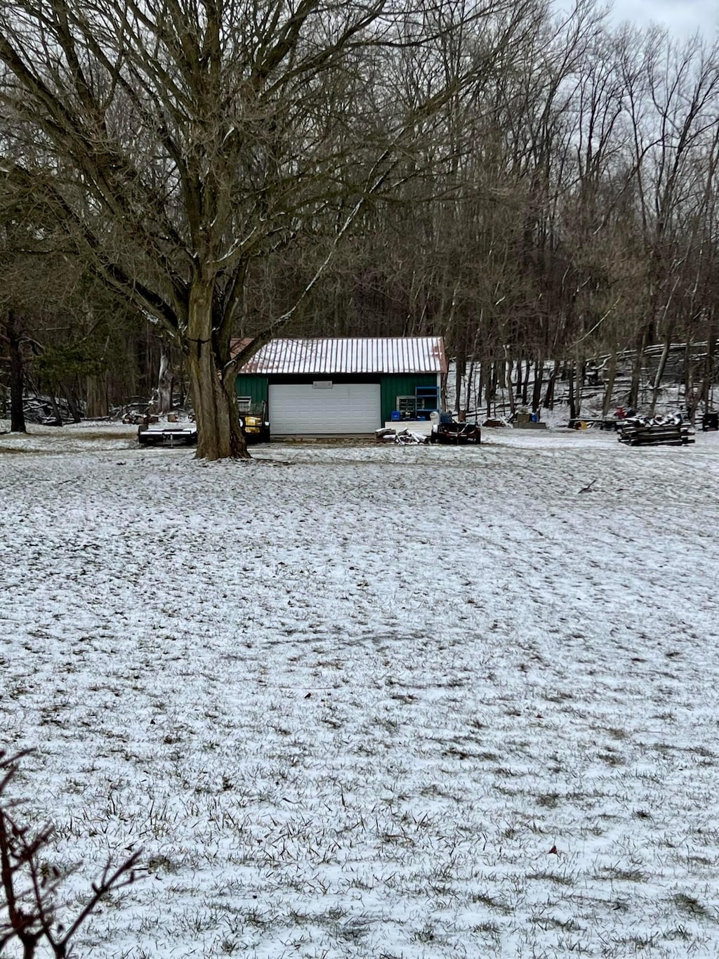 view of yard covered in snow