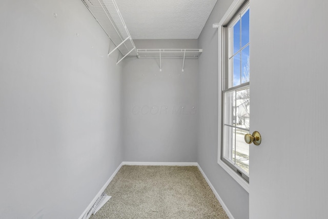 spacious closet featuring attic access and carpet