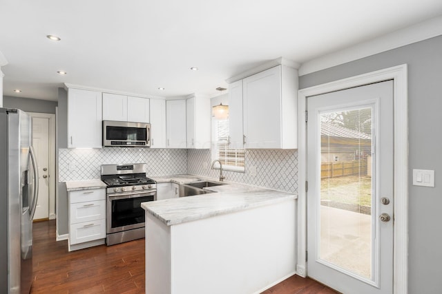 kitchen with plenty of natural light, stainless steel appliances, a peninsula, and a sink