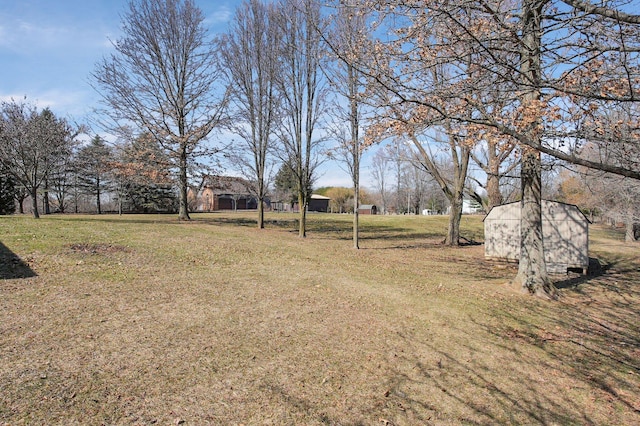 view of yard featuring a shed and an outdoor structure