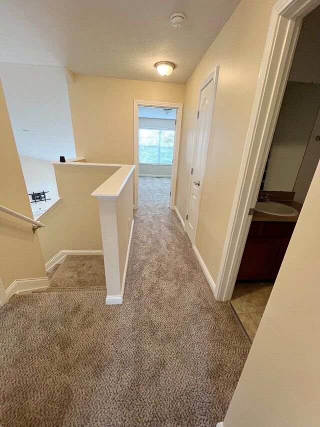 5688 Albany Reserve Dr, Westerville, OH 43081 - photo 37