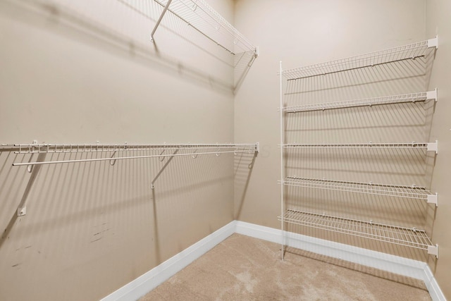 spacious closet featuring carpet floors