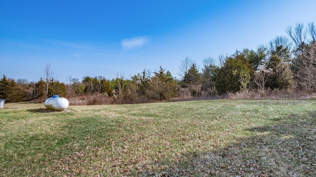 view of yard with a wooded view