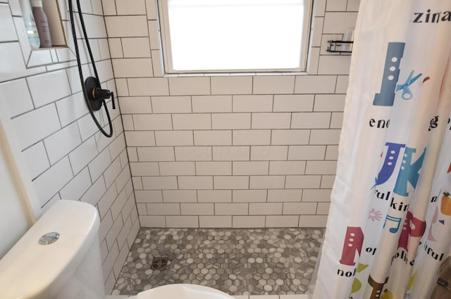 bathroom with toilet and a stall shower