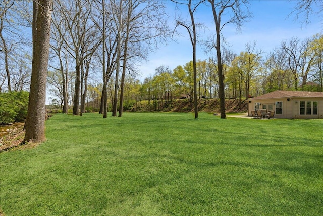 view of yard with a patio area