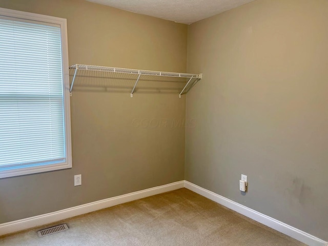 spacious closet with visible vents and carpet flooring