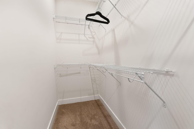 walk in closet with dark colored carpet