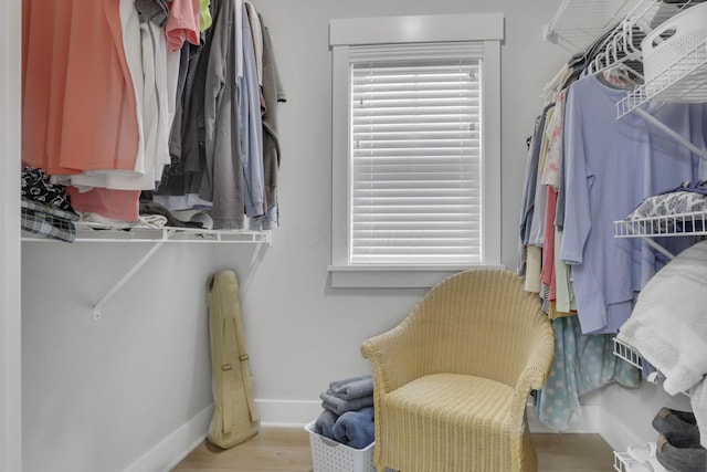 spacious closet featuring wood finished floors