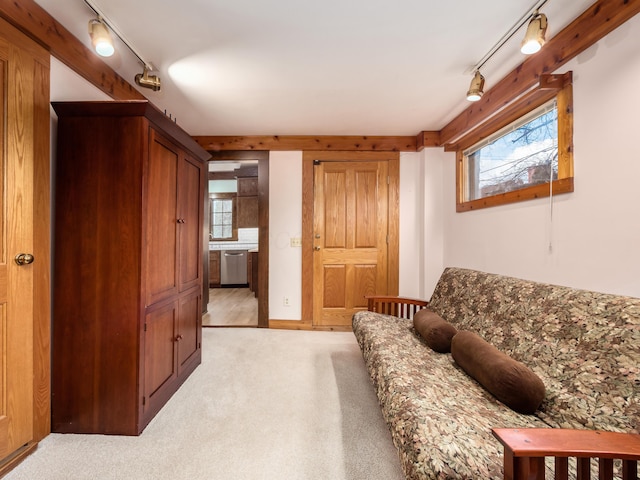 sitting room with light carpet and rail lighting