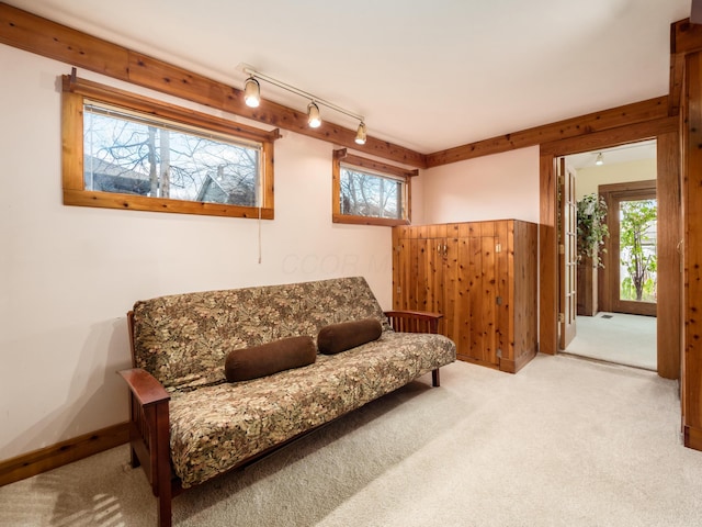 living area with track lighting and carpet flooring