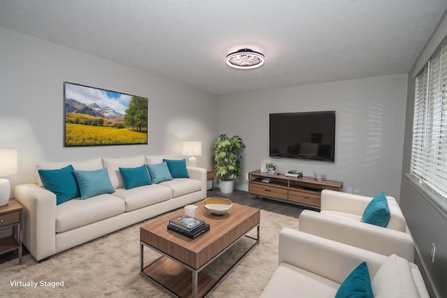 living area featuring wood finished floors and a textured ceiling