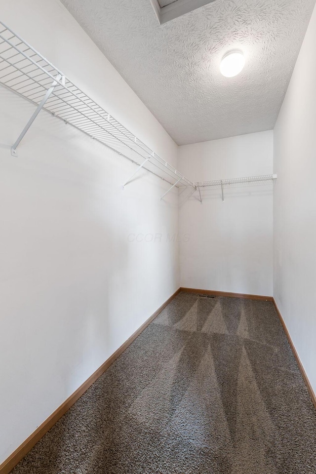 walk in closet featuring carpet flooring