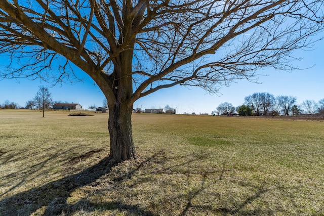 view of yard featuring a rural view