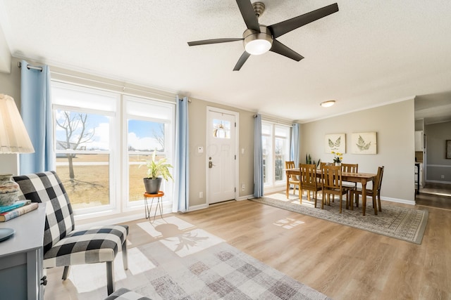 foyer entrance with vaulted ceiling, plenty of natural light, light wood-type flooring, and a textured ceiling