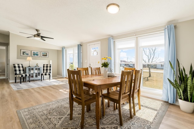 dining area featuring light wood finished floors, a wealth of natural light, and a textured ceiling