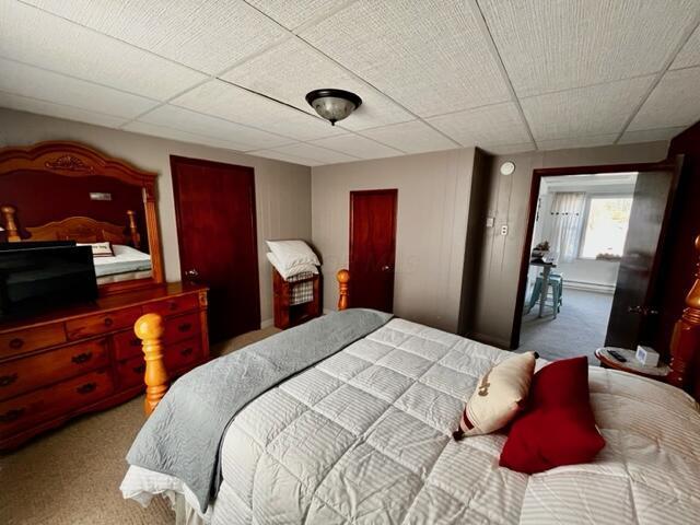 carpeted bedroom with a paneled ceiling