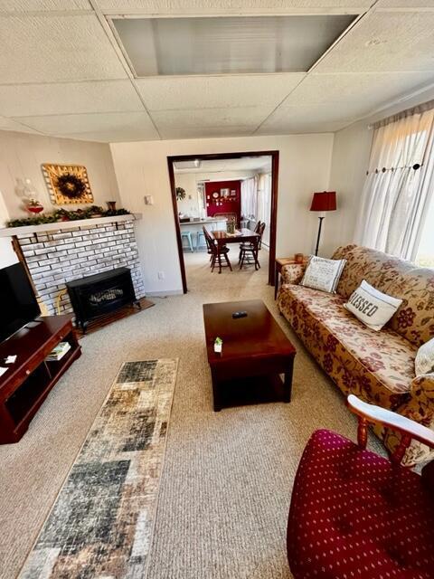 carpeted living area featuring a drop ceiling and a fireplace