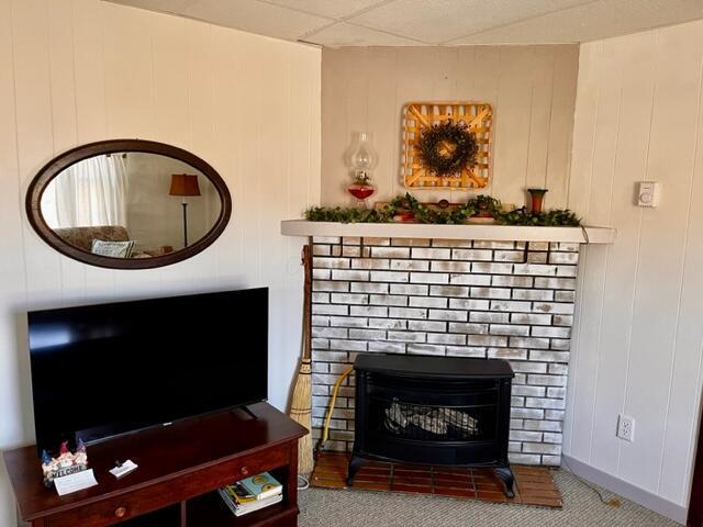 room details featuring carpet, a drop ceiling, and a fireplace