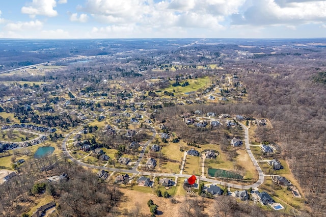 drone / aerial view