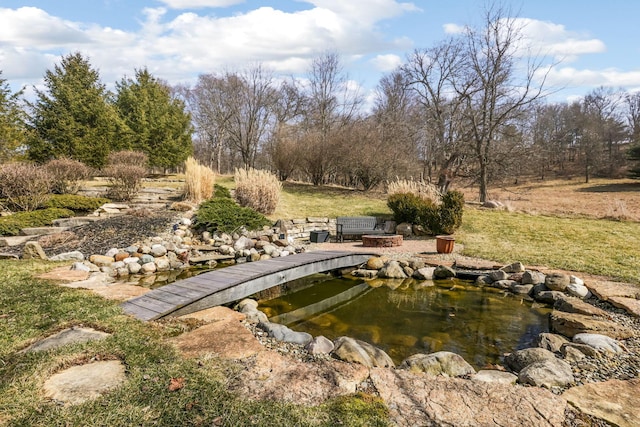 view of yard with a small pond and a fire pit